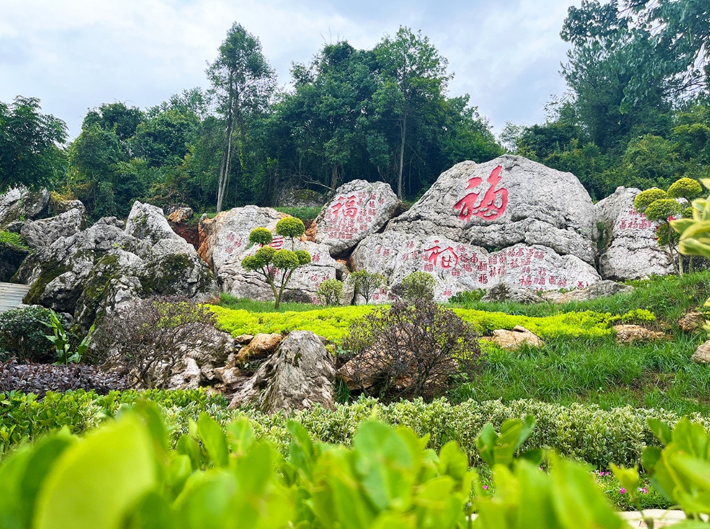 ��԰����