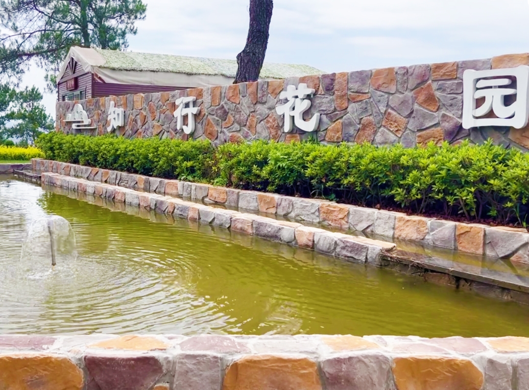 ��԰����