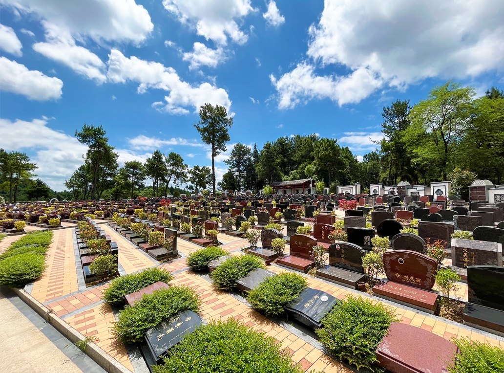 ������԰������Ĺ������Щ��������Щ�ص㣿